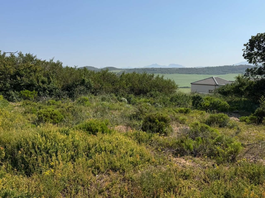 0 Bedroom Property for Sale in Reebok Western Cape